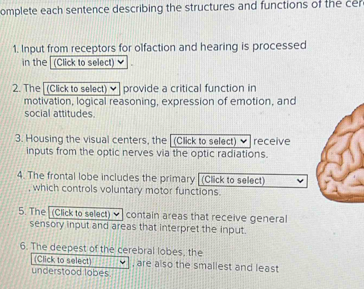 omplete each sentence describing the structures and functions of the cer 
1. Input from receptors for olfaction and hearing is processed 
in the (Click to select) 
2. The (Click to select) ✔ provide a critical function in 
motivation, logical reasoning, expression of emotion, and 
social attitudes. 
3. Housing the visual centers, the (Click to select) receive 
inputs from the optic nerves via the optic radiations. 
4. The frontal lobe includes the primary (Click to select) 
, which controls voluntary motor functions. 
5. The (Click to select) contain areas that receive general 
sensory input and areas that interpret the input. 
6. The deepest of the cerebral lobes, the 
(Click to select) , are also the smallest and least 
understood lobes.