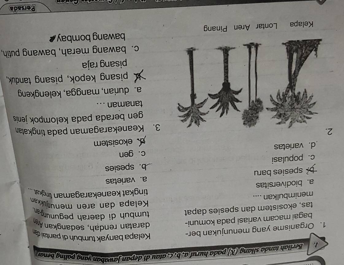 Berilah tanda silang (XJ pada huruf a.b. c, atau di depan jawaban yang paling benar 
1. Organisme yang menunjukan ber-
Kelapa banyak tumbuh di pantai dạn
bagai macam variasi pada komuni-
daratan rendah, sedangkan Árøn
tas, ekosistem dan spesies dapat
tumbuh di daerah pegunung-an.
Kelapa dan aren menuŋjukkan
menimbulkan ....
tingkat keanekaragaman tingkat ...
a.biodiversitas
b spesies baru a. varietas
c. populasi b. spesies
d. varietas c. gen
d ekosistem
3. Keanekaragaman pada tingkatan
gen berada pada kelompok jenis 
tanaman . . .
a. durian, mangga, kelengkeng
pisang kepok, pisang tanduk,
pisang raja
c. bawang merah, bawang putih,
bawang bombay
Persada