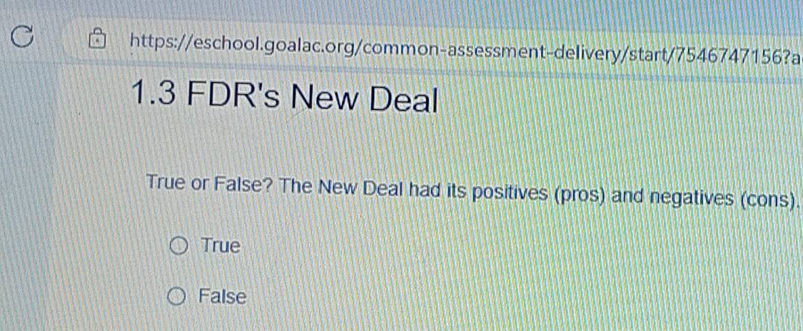 1.3 FDR's New Deal
True or False? The New Deal had its positives (pros) and negatives (cons).
True
False