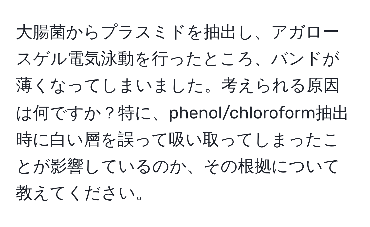 大腸菌からプラスミドを抽出し、アガロースゲル電気泳動を行ったところ、バンドが薄くなってしまいました。考えられる原因は何ですか？特に、phenol/chloroform抽出時に白い層を誤って吸い取ってしまったことが影響しているのか、その根拠について教えてください。