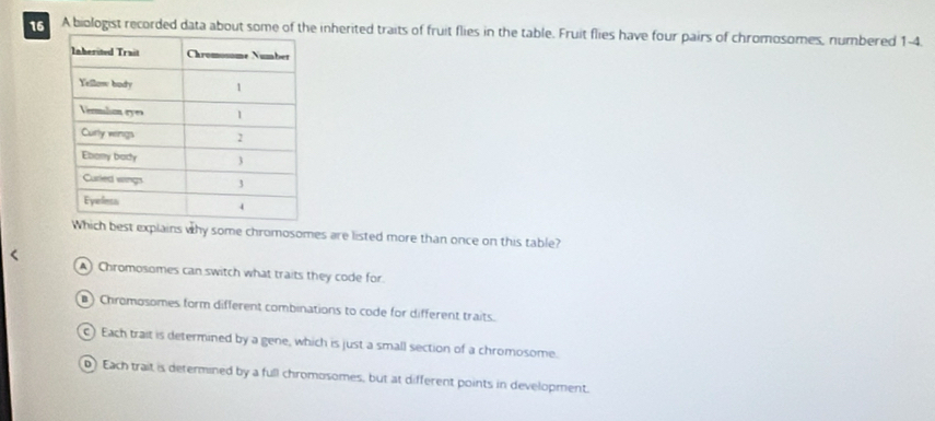 A biologist recorded data about some of the inherited traits of fruit flies in the table. Fruit flies have four pairs of chromosomes, numbered 1-4.
t explains why some chromosomes are listed more than once on this table?
A) Chromosomes can switch what traits they code for.
) Chromosomes form different combinations to code for different traits.
C) Each trait is determined by a gene, which is just a small section of a chromosome.
Each trait is determined by a full chromosomes, but at different points in development.