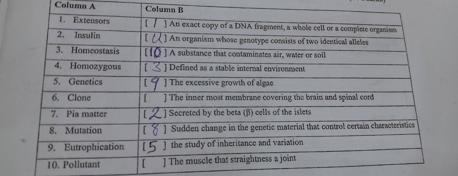 Column A Colu