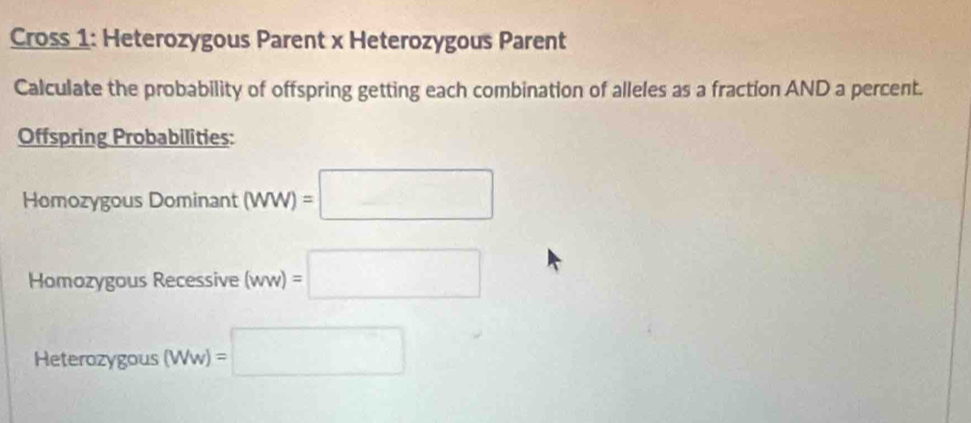 Cross 1: Heterozygous Parent x Heterozygous Parent 
Calculate the probability of offspring getting each combination of alleles as a fraction AND a percent. 
Offspring Probabilities: 
Homozygous Dominant (WW)=□
Homozygous Recessive(mw)=□
Heterozygous (Ww)=□