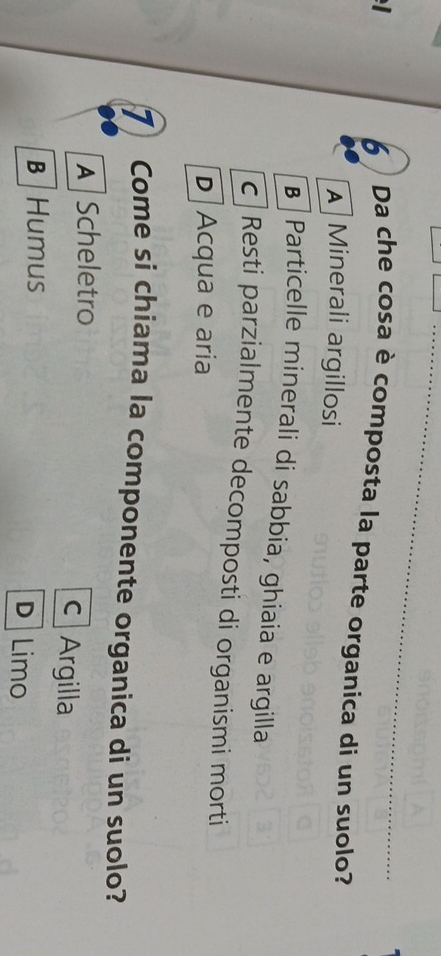 Da che cosa è composta la parte organica di un suolo?
A Minerali argillosi
B Particelle minerali di sabbia, ghiaia e argilla
c Resti parzialmente decomposti di organismi morti
D Acqua e aria
7 Come si chiama la componente organica di un suolo?
A Scheletro c Argilla
B Humus D Limo