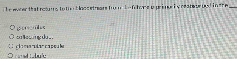 The water that returns to the bloodstream from the filtrate is primarily reabsorbed in the_
glomerulus
collecting duct
glomerular capsule
renal tubule