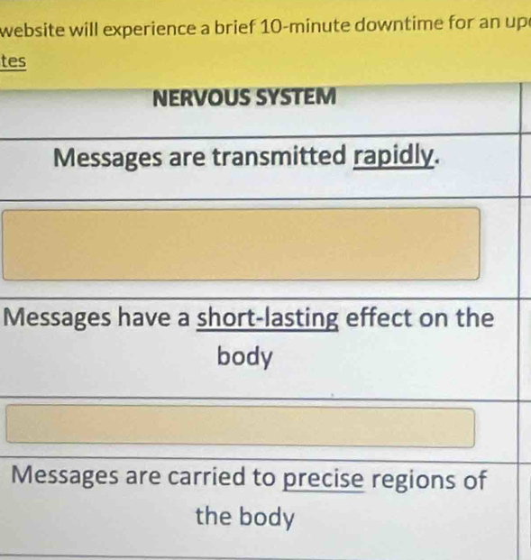 website will experience a brief 10-minute downtime for an up 
tes 
NERVOUS SYSTEM 
Messages are transmitted rapidly. 
Messages have a short-lasting effect on the 
body 
Messages are carried to precise regions of 
the body