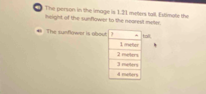 The person in the image is 1.21 meters tall. Estimate the 
height of the sunflower to the nearest meter. 
The sunflower is abouall.