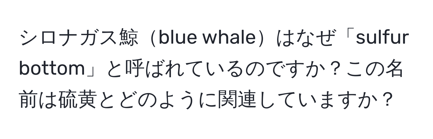 シロナガス鯨blue whaleはなぜ「sulfur bottom」と呼ばれているのですか？この名前は硫黄とどのように関連していますか？