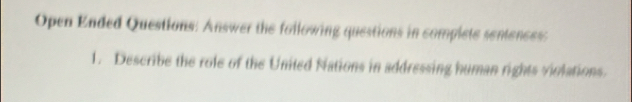 Open Ended Questions: Answer the foilowing questions in complete sentences: 
1. Describe the role of the United Nations in addressing human rights violations.