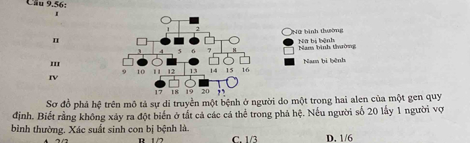 Cầu 9.56:
I
Nữ binh thường
I
Nam bình thường Nữ bị bệnh
Nam bi bênh
III
IV
Sơ đồ phả hệ trên mô tả sự di truyền một bệnh ở người do một trong hai alen của một gen quy
định. Biết rằng không xảy ra đột biến ở tất cả các cá thể trong phả hệ. Nếu người số 20 lấy 1 người vợ
bình thường. Xác suất sinh con bị bệnh là.
R 1/2 C. 1/3 D. 1/6