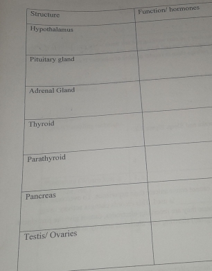 Stru 
Function/ hormones