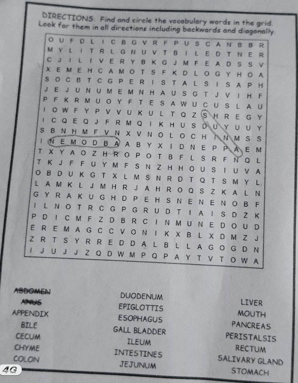 DIRECTIONS: Find and circle the vocabulary words in the grid. 
Look for them in all d 
ABDOMEN duodenum LIVER 
AMUS EPIGLOTTIS MOUTH 
APPENDIX ESOPHAGUS PANCREAS 
BILE Gall Bladder PERISTALSIS 
CECUM ILEUM RECTUM 
CHYME INTESTINES SALIVARY GLAND 
COLON JEJUNUM 
4G STOMACH