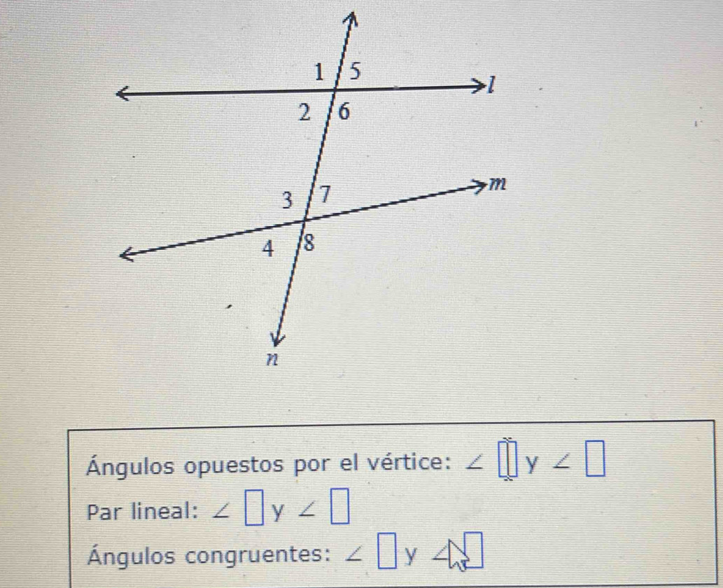 Ángulos opuestos por el vértice: ∠ □ y∠ □
Par lineal: ∠ □ y∠ □
Ángulos congruentes: ∠ □ y