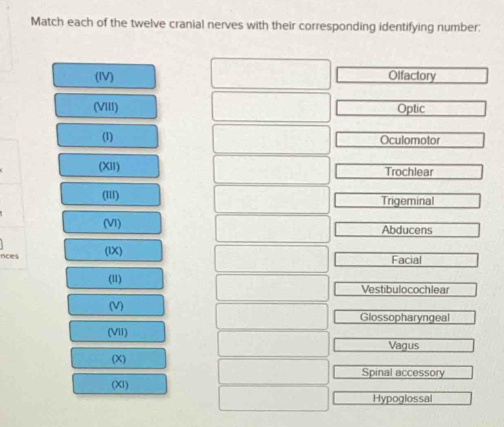 Match each of the twelve cranial nerves with their corresponding identifying number:
(IV) Olfactory
(VIII) Optic
(1) Oculomotor
(XII) Trochlear
(lI) Trigeminal
(VI) Abducens
nces (IX) Facial
(u)
Vestibulocochlear
(V)
Glossopharyngeal
(VII)
Vagus
(X)
Spinal accessory
(XI)
Hypoglossal