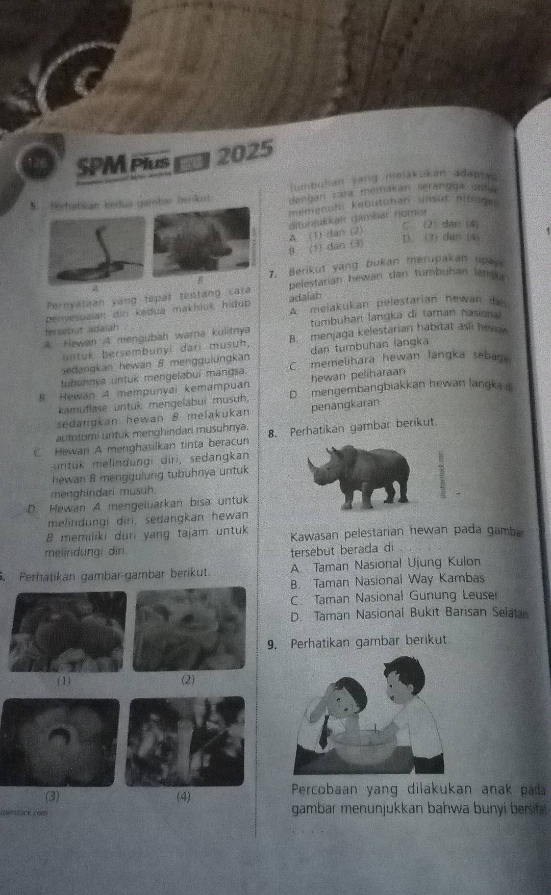 SPM Plus  2025
jumbuhan yang melakukan adantas 
S. Herhatikan kedua gambar beikul
dengan cará memakán serángga untue
meménuh: kebutuhan unsur nitiogen 
ditunjukkan gambar nomor
C. 2) dan (4)
A. (1) dan (2)
8 (1) dan (3)
D. (3) dan (4)
7. Berikut yang bukan merupakan upay
A
Pernyataan yang tepat tentang cara pelestarian hewan dan tumbuhan largka
adaiah
penyesuaian din kedua makhluk hidup A. melakukan pelestarian hewan dan
tersebut adalah tumbuhan langka di taman nasiona 
A. Hewan A mengubah warna kulitnya
untuk hersembunyi dari musuh, B. menjaga kelestarian habitat asli hewar
sedanqkan hewan 8 menggulungkan dan tumbuhan langka
tbuhnya untuk mengelabui mangsa. C. memelihara hewan langka sebag.
B. Hewan A mempunyai kemampuan hewan peliharaan
kamuflase untuk mengelabui musuh, D. mengembangbiakkan hewan langka đ
sedangkan hewan B melakukán penangkaran
autotomi untuk menghindari musuhnya.
C. Hewan A menghasilkan tinta beracun 8. Perhatikan gambar berikut
untük melindungi diri, sedangkan
hewan B menggulung tubuhnya untuk
menghindari musuh.
D Hewan A mengeluarkan bisa untuk
melindungi diri, sedangkan hewan
8 memiliki duri yang tajam untuk Kawasan pelestarian hewan pada gamba
melindungi din. tersebut berada di
Perhätikan gambar-gambar berikut. A Taman Nasional Ujung Kulon
B. Taman Nasional Way Kambas
C. Taman Nasional Gunung Leuser
D. Taman Nasional Bukit Barisan Selata
9. Perhatikan gambar berikut.
(1) (2)
(3) (4)
Percobaan yang dilakukan anak pada
ineistück.com gambar menunjukkan bahwa bunyi bersifat .