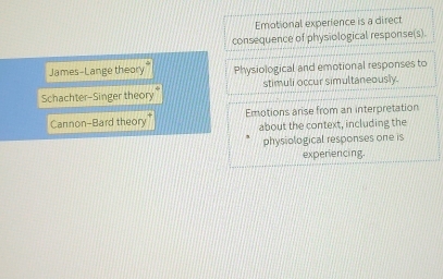 Emotional experience is a direct 
consequence of physiological response(s). 
James-Lange theory Physiological and emotional responses to 
Schachter-Singer theory stimuli occur simultaneously. 
Cannon-Bard theory" Emotions arise from an interpretation 
about the context, including the 
physiological responses one is 
experiencing.