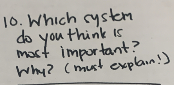 Which system 
do you think is 
most important? 
Why? (must explaon! )