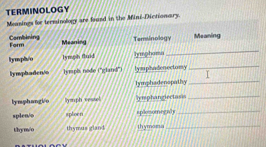 TERMINOLOGY 
Meanings for terminology are found in the Mini-Dictionary. 
Combining Meaning 
Form Meaning Terminology 
lymph/o lymph fluid lymphoma 
_ 
lymphaden/o lymph node (“gland”) lymphadenectomy_ 
lymphadenopathy_ 
lymphangi/o lymph vessel lymphangiectasis_ 
splen/o spleen splenomegaly_ 
thym/o thymus gland thymoma_