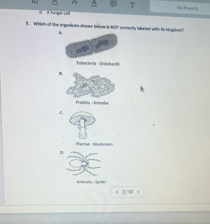 No Presets
d. A fungal cell
9. Which of the organisms shown below is NOT correctly labeled with its kingdom?
A.
Eubacteria - Diplobacilli
B.
Protista - Amoeba
C.
Plantae - Mushroom
D.
Animalia - Spider
3 / 10