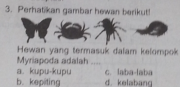 Perhatikan gambar hewan berikut!
Hewan yang termasuk dalam kelompok
Myriapoda adalah ....
a. kupu-kupu c. laba-laba
b. kepiting d. kelabang