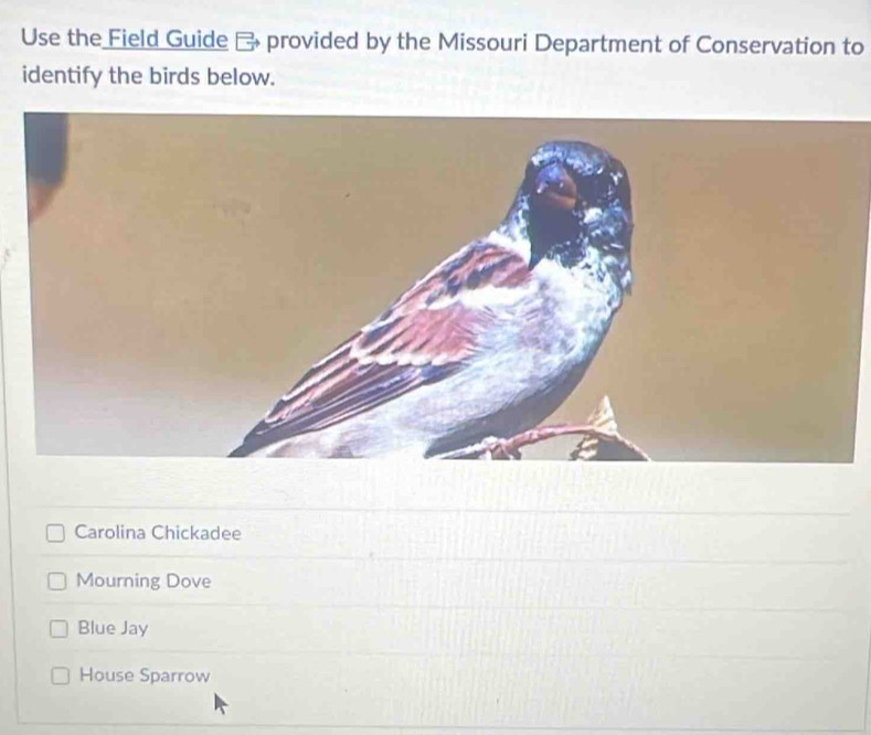 Use the Field Guide E provided by the Missouri Department of Conservation to
identify the birds below.
Carolina Chickadee
Mourning Dove
Blue Jay
House Sparrow