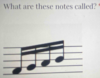 What are these notes called?