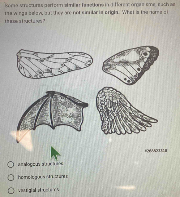 Some structures perform similar functions in different organisms, such as
the wings below, but they are not similar in origin. What is the name of
these structures?
# 268823318
analogous structures
homologous structures
vestigial structures