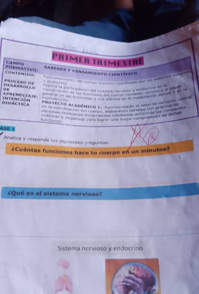 PrimER TrimEsTRe 
CAMPO 
FORMATIVO： Saberes y pensamiento Científico 
CONTENIDO: 
PROCESO DE y endocrino Funcionamiento del cuerpo humano coordinado por los sistemas nervioso 
DESARROLLO 
Explica la participación del sistema nervioso y endocrino en la 
DE 
coordinación de las funciones del cuerpo humano; reconoce el papel 
INTENCIÓN reproducción general de las hormonas y sus efectos en la maduración sexual y en la 
APRENDIZAJE: 
Didáctica 
PROYECTO ACADÉMICO 1: Representarán el sistema nervioso central 
en la coordinación del cuerpo, elaborando carteles con gráficos de 
personas realizando movimientos cotidianos utilizando las constantes 
positivas y negativas para lograr una mejor comprensión de dichas 
funciones 
ASE 1 
Analiza y responde las siguientes preguntas. 
¿Cuántas funciones hace tu cuerpo en un minutos? 
¿Qué es el sistema nervioso? 
Sistema nervioso y endocrino