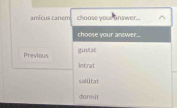 amǐcus canem choose your answer...
choose your answer...
Previous gustat
intrat
salûtat
dormit