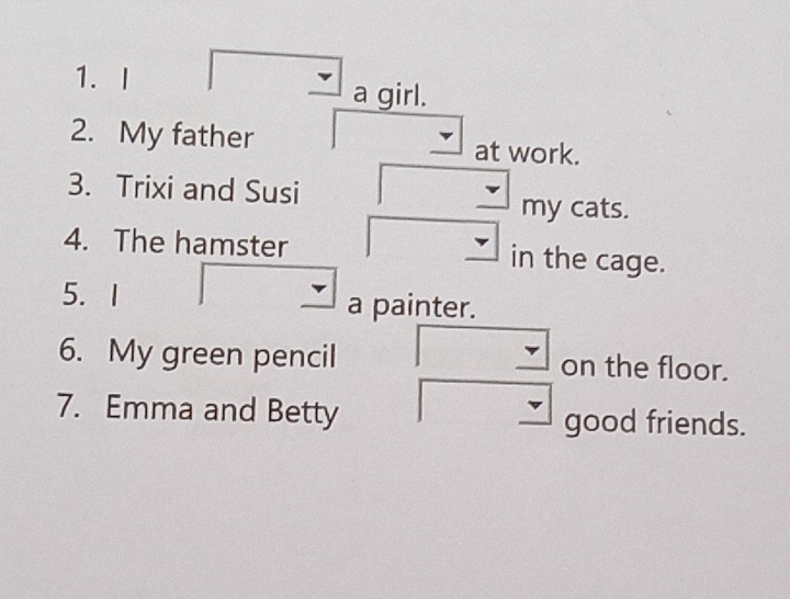 a girl. 
2. My father at work. 
3. Trixi and Susi 
my cats. 
4. The hamster in the cage. 
5. I a painter. 
6. My green pencil on the floor. 
7. Emma and Betty good friends.