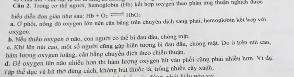 Trong cơ thể người, hemoglobin (Hb) kết hợp oxygen theo phản ứng thuận nghịch được
biểu diễn đơn giản như sau: Hb+O_2leftharpoons HbO_2
a. Ở phổi, nồng độ oxygen lớn nên cân bằng trên chuyền dịch sang phải, hemoglobin kết hợp với
oxygen.
b. Nếu thiếu oxygen ở não, con người có thể bị đau đầu, chóng mặt.
c. Khi lên núi cao, một số người cũng gặp hiện tượng bị đau đầu, chóng mặt. Do ở trên núi cao,
hàm lượng oxygen loãng, cân bằng chuyền dịch theo chiều thuận.
d. Để oxygen lên não nhiều hơn thì hàm lượng oxygen hít vào phồi cũng phải nhiều hơn. Ví dụ:
Tập thể dục và hít thở đúng cách, không hút thuốc lá, trồng nhiều cây xanh,...