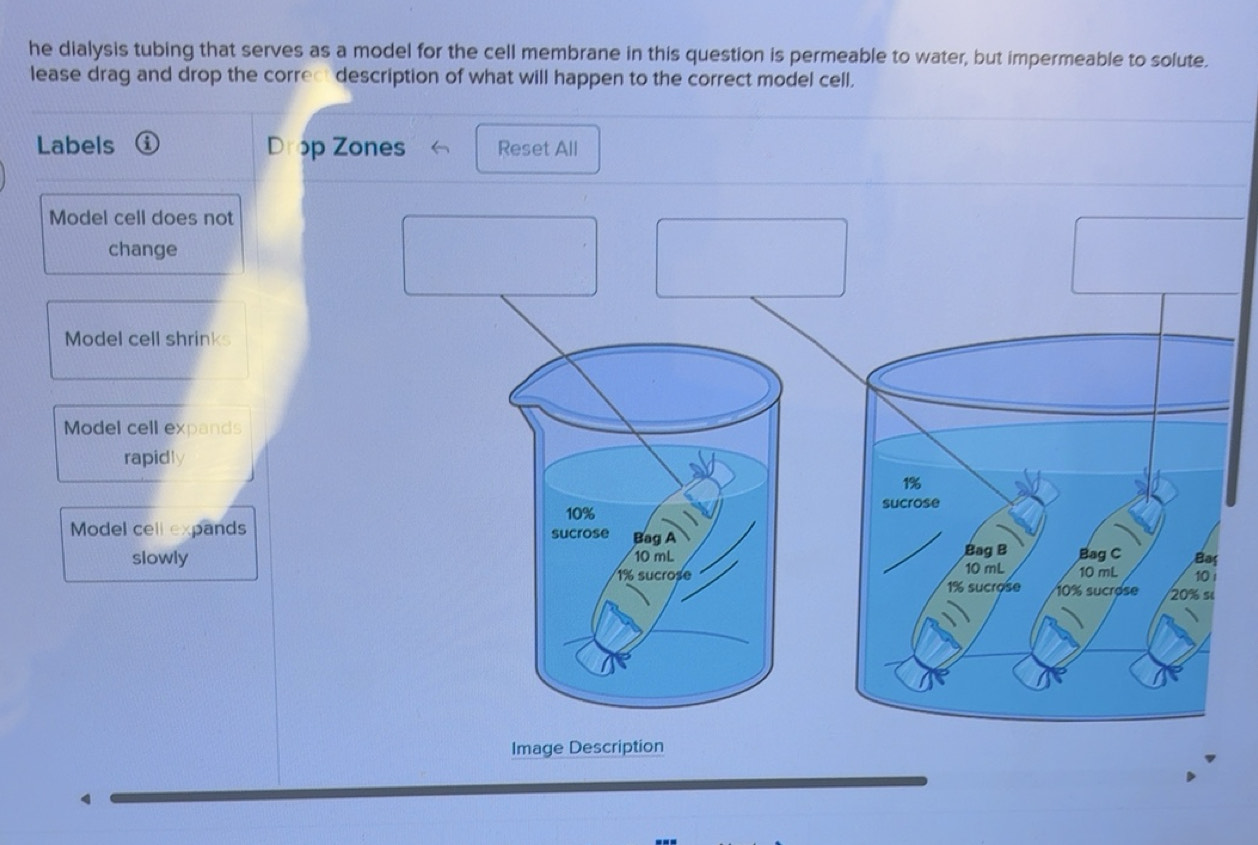 Solved: he dialysis tubing that serves as a model for the cell membrane ...