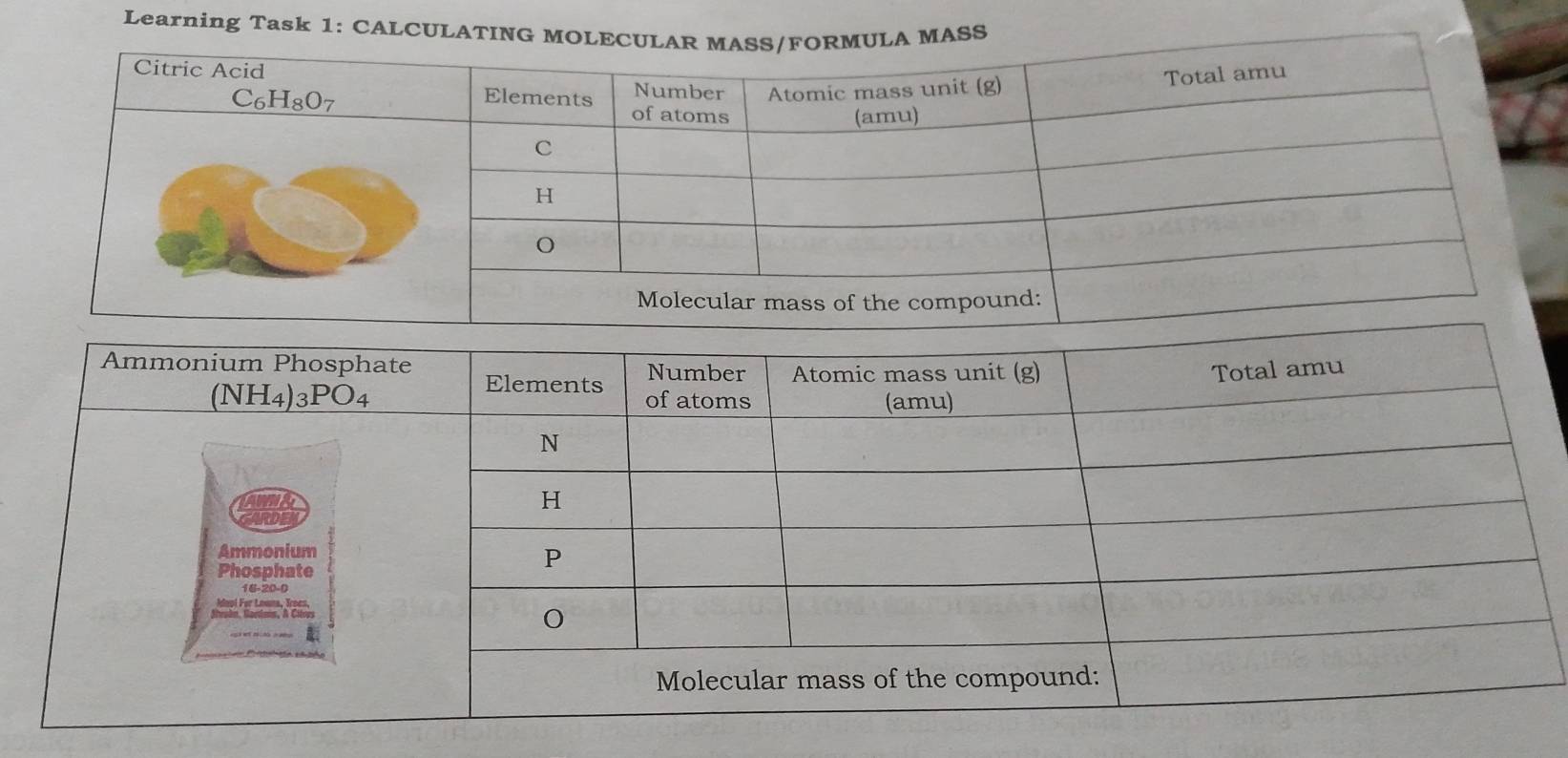 Learning Task 1: CALCUL