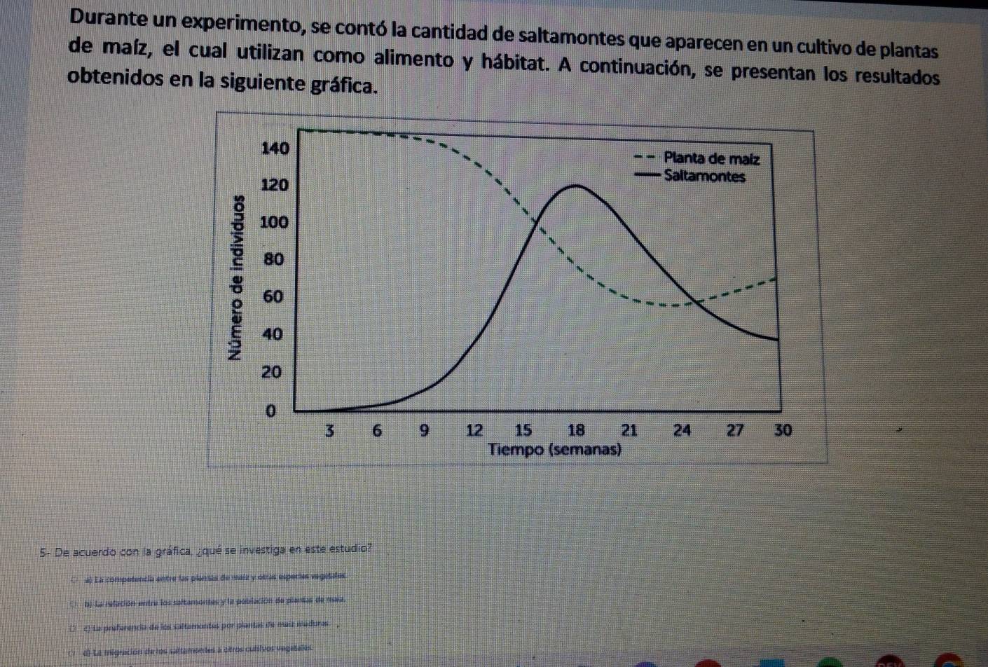 Durante un experimento, se contó la cantidad de saltamontes que aparecen en un cultivo de plantas
de maíz, el cual utilizan como alimento y hábitat. A continuación, se presentan los resultados
obtenidos en la siguiente gráfica.
5- De acuerdo con la gráfica, ¿qué se investiga en este estudio?
a) La competencia entre las plarías de maiz y otras especiés vegetales
C b) La relación entre los saltamontes y la población de plantas de maiz.
(_ c) La preferencia de los saltamontes por plantas de maiz maduras.
7 d) La migración de los saltamontes a otros cultivos vegatales.