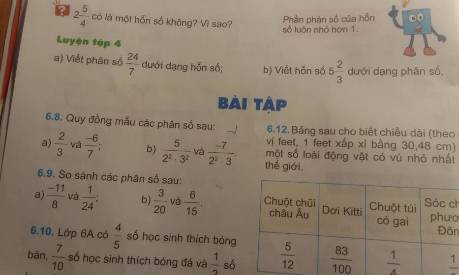 2 5/4  có là một hỗn số không? Vì sao?
Phần phân số của hỗn
số luôn nhỏ hơn 1.
Luyện tập 4
a) Viết phân số  24/7  dưới dạng hỗn số; b) Viết hỗn số 5 2/3  dưới dạng phân số,
Bài tập
6.8. Quy đồng mẫu các phân số sau: 6.12. Bảng sau cho biết chiều dài (theo
vị feet, 1 feet xấp xỉ bằng 30,48 cm)
a)  2/3  và  (-6)/7 ; b)  5/2^2· 3^2  và  (-7)/2^2· 3 . thế giới.
một số loài động vật có vú nhỏ nhất
6.9. So sánh các phân số sau:
a)  (-11)/8  và  1/24 ; b)  3/20  và  6/15 . h
o
n
6.10. Lớp 6A có  4/5  số học sinh thích bóng
bàn,  7/10  số học sinh thích bóng đá và  1/2  số