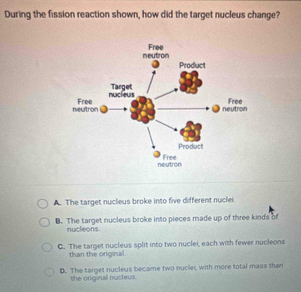 During the fission reaction shown, how did the target nucleus change?
A. The target nucleus broke into five different nuclei.
B. The target nucleus broke into pieces made up of three kinds of
nucleons.
C. The target nucleus split into two nuclei, each with fewer nucleons
than the original.
D. The target nucleus became two nuclei, with more total mass than
the original nucleus.