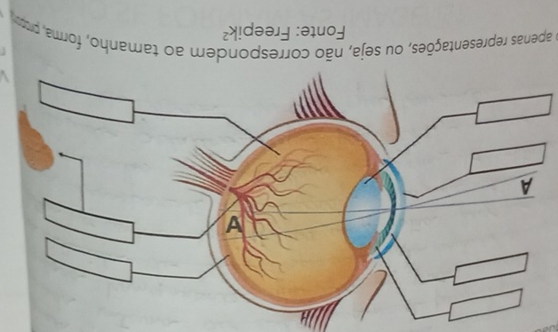 Vo soua Soua