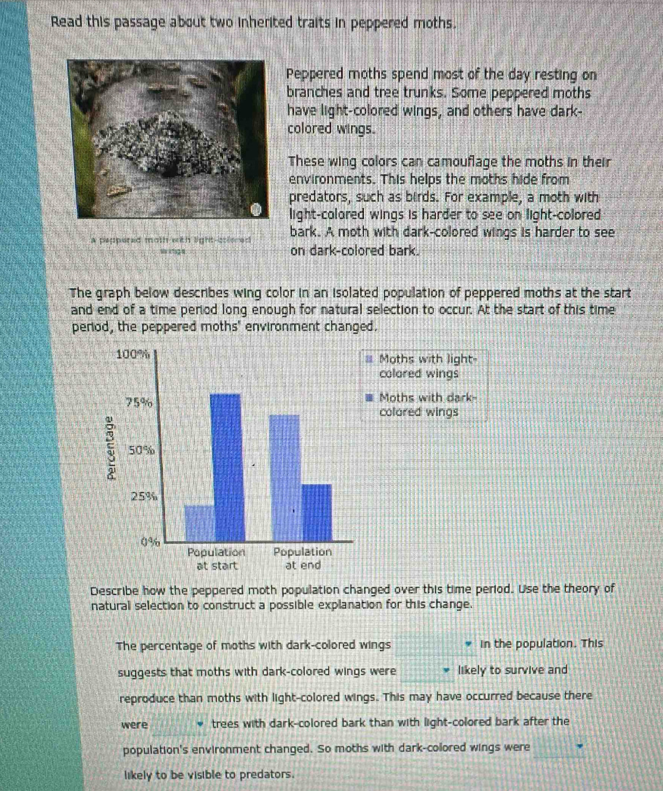 Solved: Read this passage about two inherited traits in peppered moths ...
