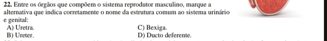 Entre os órgãos que compõem o sistema reprodutor masculino, marque a
alternativa que indica corretamente o nome da estrutura comum ao sistema urinário
e genital:
A) Uretra. C) Bexiga.
B) Ureter. D) Ducto deferente.