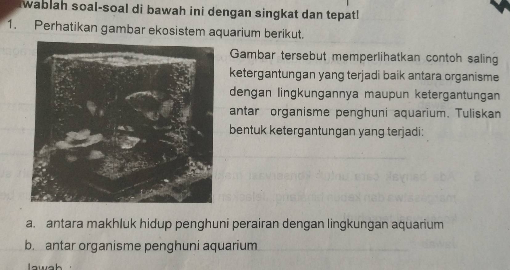 wablah soal-soal di bawah ini dengan singkat dan tepat! 
1. Perhatikan gambar ekosistem aquarium berikut. 
Gambar tersebut memperlihatkan contoh saling 
ketergantungan yang terjadi baik antara organisme 
dengan lingkungannya maupun ketergantungan 
antar organisme penghuni aquarium. Tuliskan 
bentuk ketergantungan yang terjadi: 
a. antara makhluk hidup penghuni perairan dengan lingkungan aquarium 
b. antar organisme penghuni aquarium 
lawah