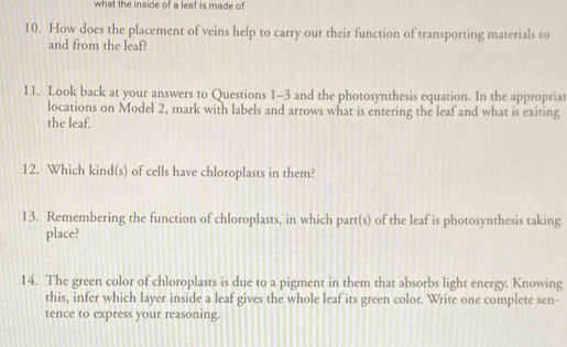 what the inside of a leaf is made of 
10. How does the placement of veins help to carry out their function of transporting materials to 
and from the leaf? 
11. Look back at your answers to Questions 1-3 and the photosynthesis equation. In the appropriat 
locations on Model 2, mark with labels and arrows what is entering the leaf and what is exiting 
the leaf. 
12. Which kind(s) of cells have chloroplasts in them? 
13. Remembering the function of chloroplasts, in which part(s) of the leaf is photosynthesis taking 
place? 
14. The green color of chloroplasts is due to a pigment in them that absorbs light energy. Knowing 
this, infer which layer inside a leaf gives the whole leaf its green color. Write one complete sen- 
tence to express your reasoning.