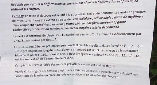 Réponds par «vrai » si l’affirmation est juste ou par «faux » si l’affirmation est fausse, en 
utilisant les chiffres. 
Partie B: Le texte ci-dessous est relatif à la structure du nerf et du neurone. Les mots et groupes 
de mots suivant ont été extrait de ce texte : corps cellulaire ; cellule gligle ; gaine de myéline ; 
tissu conjonctif ; dendrites ; neurone ; axone ; faisceaux de fibres nerveuses ; gaine 
conjonctive ; arborisation terminale ; vaisseaux sanguins ; cellules de Schwann 
Le nerf est constitué de plusieurs ...1... contenues dans un ...2... Il est limité extérieurement par 
une...3... parcourus par des.....4..... 
Le ......5.....possède des prolongements courts et ramifiés appelés ....6....et formé de l'......7.....qui 
est le prolongement long du ....8.... L'axone est entouré par la ....9....au niveau de la substance 
blanche et par les ....10.... dans le nerf. Il peutêtre également entouré ou non de ...11... L' ...12... 
est la ramification de l'extrémité de l'axone. 
Complète le texte à l'aide des mots et groupes de mots en utilisant les chiffres. 
Portie C : Les figures ci-dessous ainsi que les séries de propositions suivantes sont relatives aux 
conditions de la mise en place du reflexe conditionnel de salivation chez le chien .