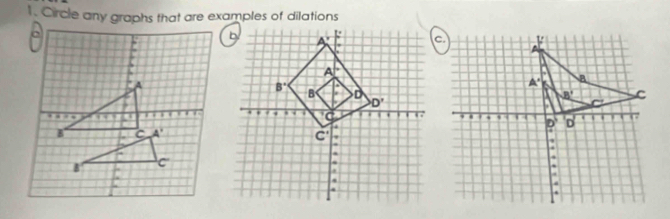 Circle any graphs that are examples of dilations