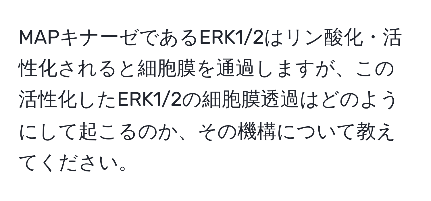 MAPキナーゼであるERK1/2はリン酸化・活性化されると細胞膜を通過しますが、この活性化したERK1/2の細胞膜透過はどのようにして起こるのか、その機構について教えてください。