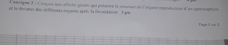 Consigne 2 : Conçois une affiche géante qui présente la structure de l'organe reproducteur d'un spermaphyte 
et le devenir des différents organes après la fécondation 3 pts 
Page 1 sur 2