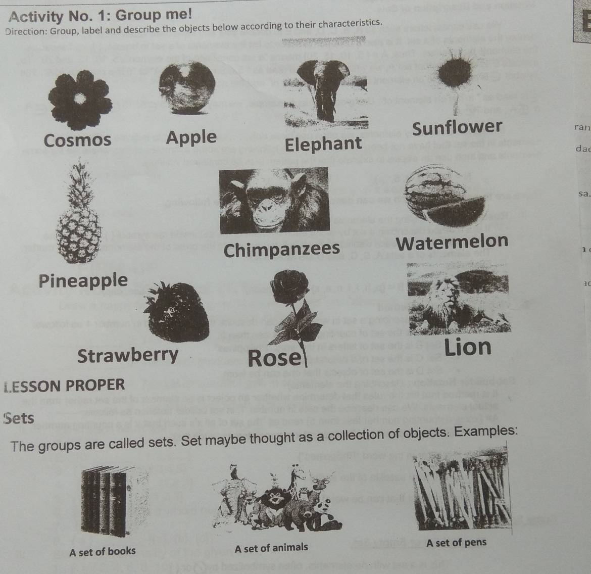 Activity No. 1: Group me! 
Direction: Group, label and describe the objects below according to their characteristics. 
Cosmos Apple Sunflower 
ran 
Elephant 
da 
sa. 
Chimpanzees Watermelon 
1 
Pineapple
10
Strawberry Rose 
Lion 
LESSON PROPER 
Sets 
The groups are called sets. Set maybe thought as a collection of objects. Examples: 
A set of books A set of animals A set of pens