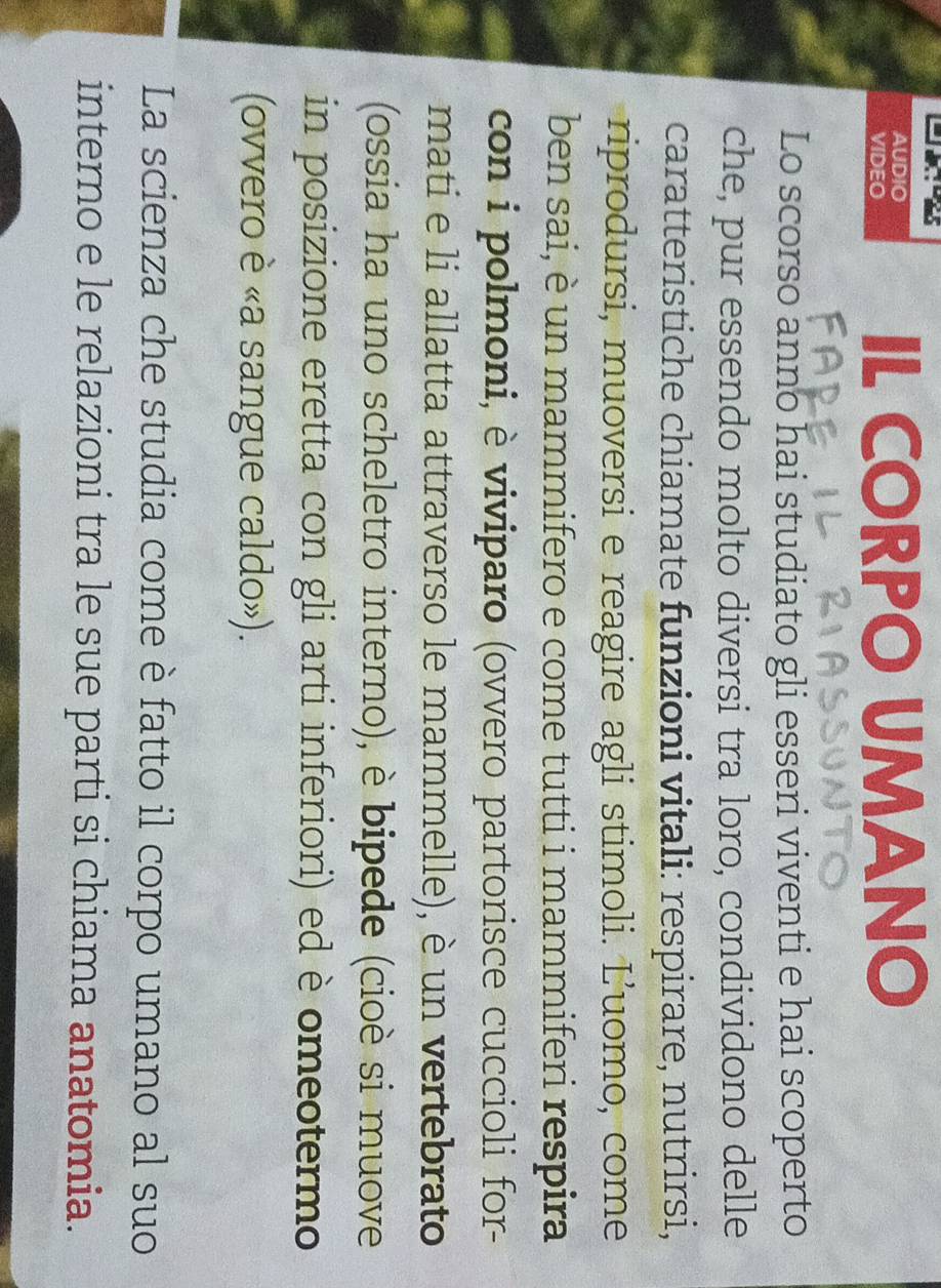 AUDIO IL CORPO UMANO 
VIDEO 
Lo scorso anno hai studiato gli esseri viventi e hai scoperto 
che, pur essendo molto diversi tra loro, condividono delle 
caratteristiche chiamate funzioni vitali: respirare, nutrirsi, 
riprodursi, muoversi e reagire agli stimoli. L'uomo, come 
ben sai, è un mammifero e come tutti i mammiferi respira 
con i polmoni, è viviparo (ovvero partorisce cuccioli for- 
mati e li allatta attraverso le mammelle), è un vertebrato 
(ossia ha uno scheletro interno), è bipede (cioè si muove 
in posizione eretta con gli arti inferiori) ed è omeotermo 
(ovvero è «a sangue caldo»). 
La scienza che studia come è fatto il corpo umano al suo 
interno e le relazioni tra le sue parti si chiama anatomia.