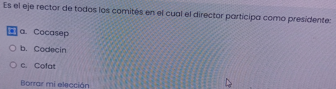 Resuelto:Es el eje rector de todos los comités en el cual el director ...