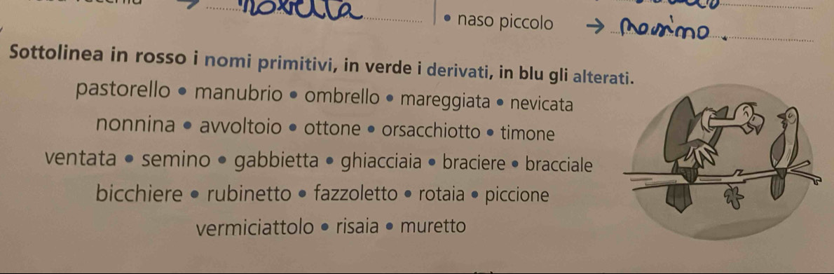 naso piccolo 
_ 
Sottolinea in rosso i nomi primitivi, in verde i derivati, in blu gli alter 
pastorello • manubrio • ombrello • mareggiata • nevicata 
nonnina • avvoltoio • ottone • orsacchiotto • timone 
ventata • semino • gabbietta • ghiacciaia • braciere • bracciale 
bicchiere • rubinetto • fazzoletto • rotaia • piccione 
vermiciattolo • risaia • muretto