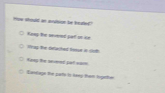 How should an avuision be heated"
Keep the severed patt on ice.
Wap the delached fissue in cloth
Keep the severed par warn.
Bandage the paris to keep them logether